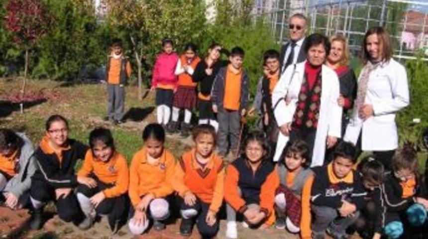 Bir &Ouml;ğrencinin 'domates Markette Yetişir' S&ouml;z&uuml; İle "ekmeğin &Ouml;yk&uuml;s&uuml; Projesi" Başlatıldı