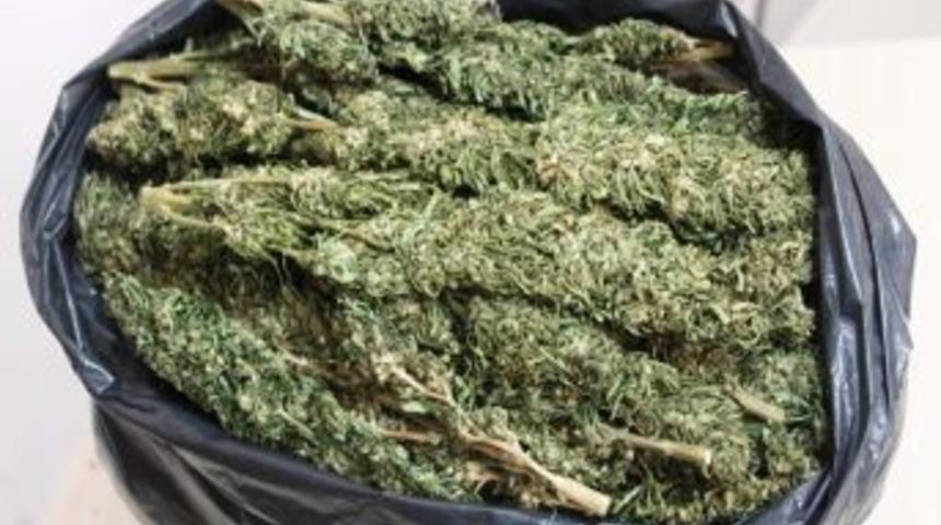 Mardin&rsquo;de Uyuşturucu Operasyonu