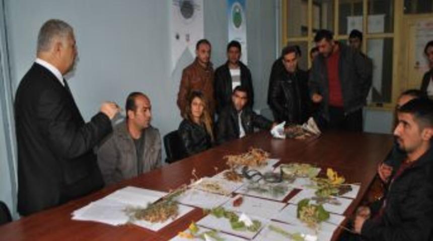Ka&ccedil;maz: Hakkari'de Yetişen Bitkilerle Organik Arıcılık Yapılabilir