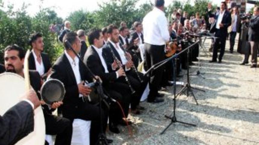 D&ouml;rtyol&rsquo;da Narenciye Hasat Şenliği
