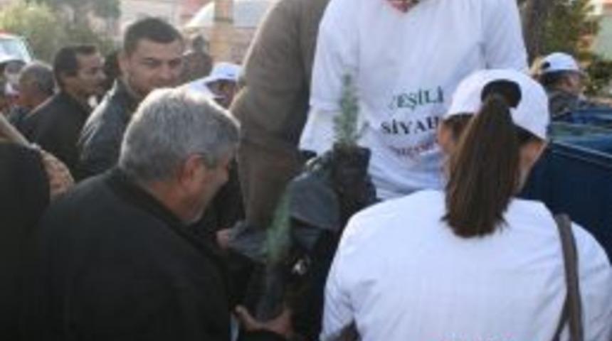 &Uuml;niversiteliler Orman Yangınlarına Dikkat &Ccedil;ekmek I&ccedil;in Y&uuml;r&uuml;d&uuml;