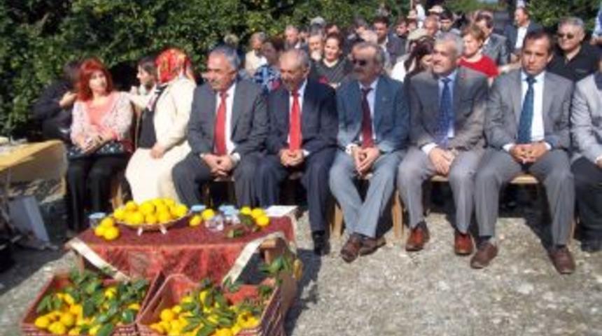 Narenciye Iş&ccedil;ileri Hasat Şenliğinde Halay &Ccedil;ekti