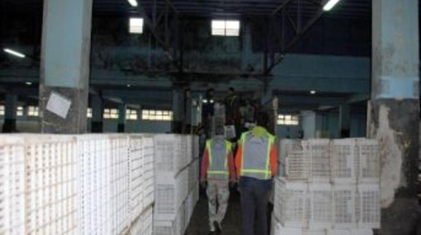 Marmarabirlik Zeytin Alımına Devam Ediyor