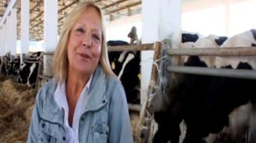 Antalya'daki Hacizli İnekler