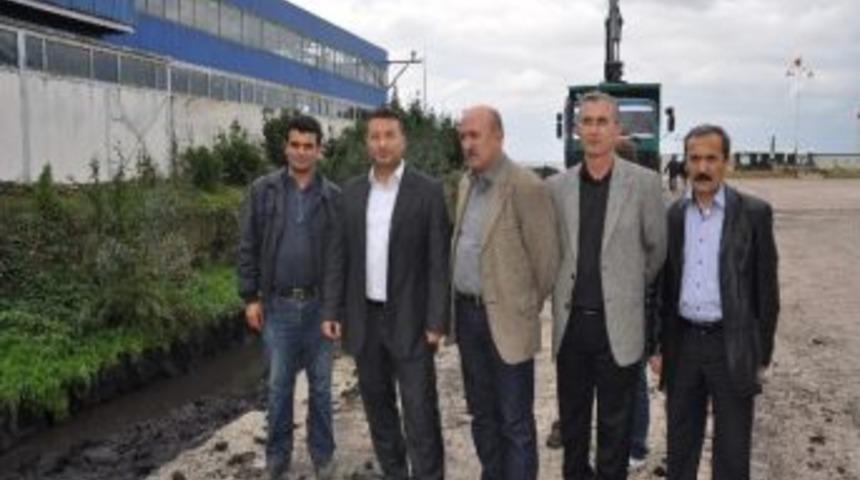 Kilimli'de Dereler Temizleniyor