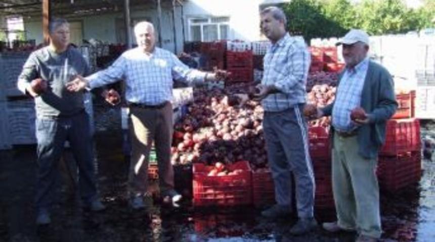 Zamanında Alınmayan &Uuml;r&uuml;n Dalında &Ccedil;&uuml;r&uuml;d&uuml;