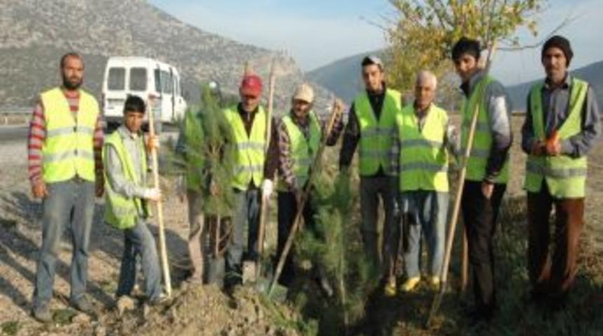 Karayollarında Ağa&ccedil;landırma &Ccedil;alışmaları Devam Ediyor