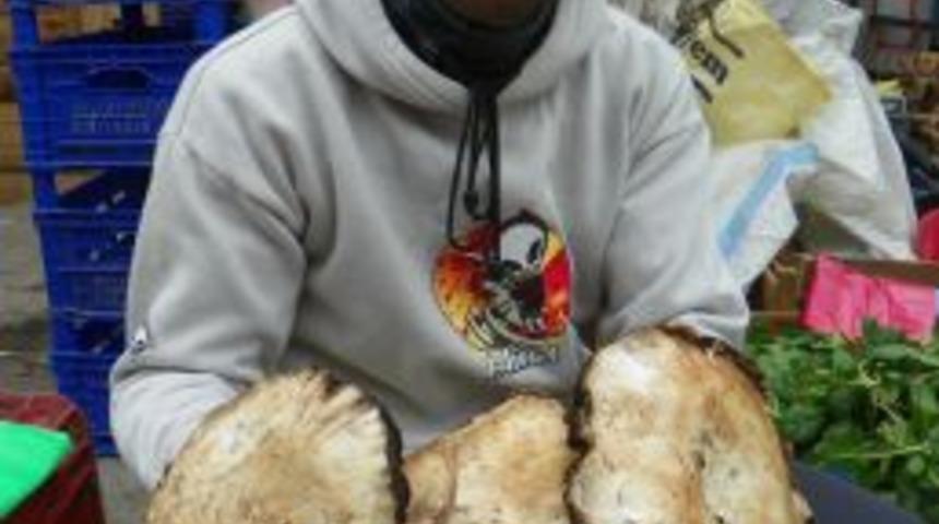 Doğal Mantarlar Pazara Indi