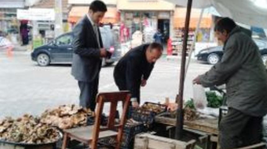 Kaymakamın Mantar Tutkusu