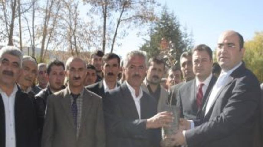 Hizan'da 5 Bin Siirt Fıstığı Fidanı Dağıtıldı