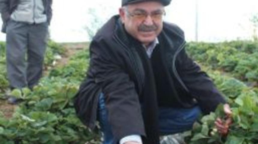 Beyşehir'de Organik Tarım Atağı