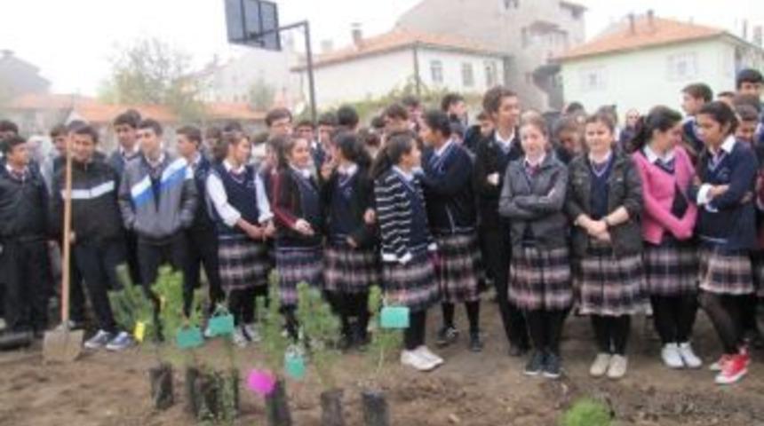 Eş Zamanlı Fidan Dikimi