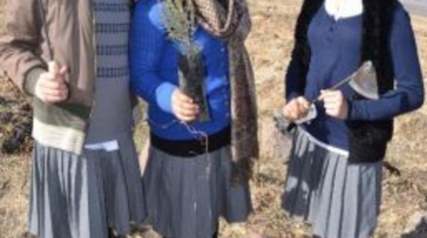 Basın Mensupları Fidan Dikti, Vali Yılmaz Fotoğraflarını &Ccedil;ekti