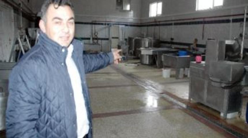 Erzurum Kaşar Peyniri Tescillenecek