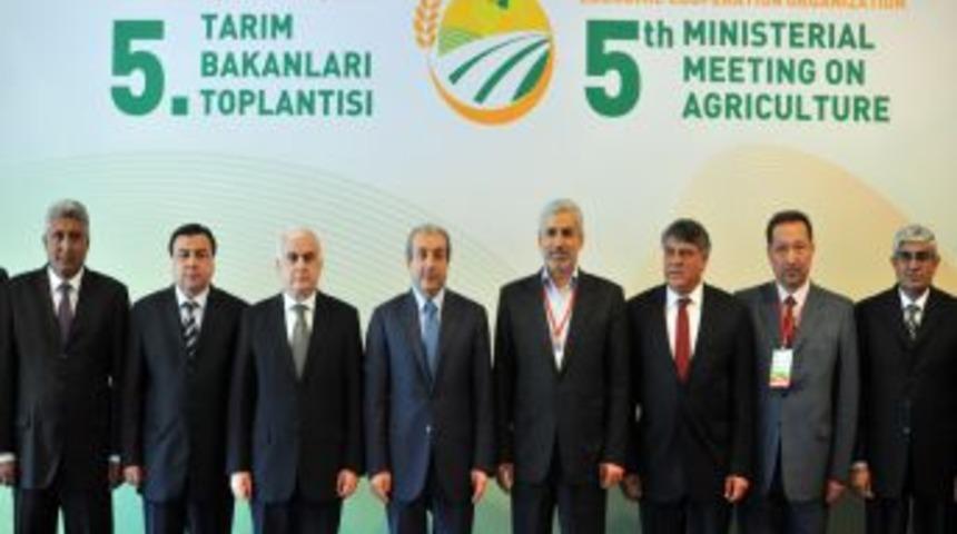 Eker: D&uuml;nyada Tahıl &Uuml;retimi Y&uuml;zde 2,6, Buğday &Uuml;retimi Y&uuml;zde 5,2 D&uuml;şt&uuml;