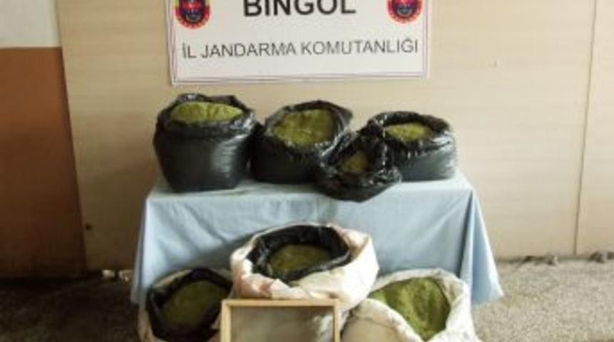 Bing&ouml;l'de 50 Kilo Esrar Ele Ge&ccedil;irildi
