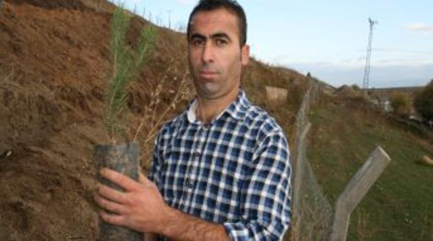 5 Yıl &Ouml;nce Kaza Yaptı, Mahkeme Ağa&ccedil; Dikim Cezası Verdi