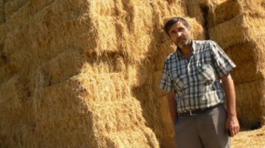Yakılarak Imha Edilen &Ccedil;eltik Sapları Ekonomiye Kazandırıldı