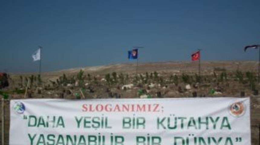 Kütahya’da 11 Bin 111 Fidan Eş Zamanlı Toprakla Buluştu