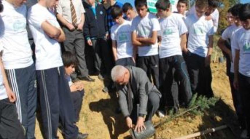 Eş Zamanlı Fidan Dikimi