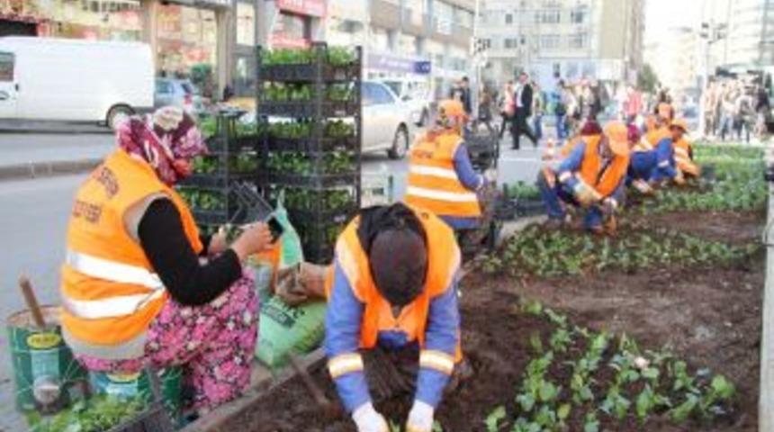 B&uuml;y&uuml;kşehir Belediyesi, Yıl Sonuna Kadar 1 Milyon &Ccedil;i&ccedil;ek Dikecek