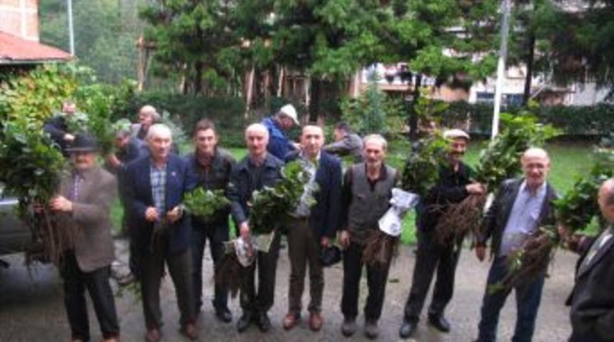 Tonya Orman İşletme Şefliği, Vatandaşlara 3 Bin Adet Ihlamur Fidanı Dağıttı