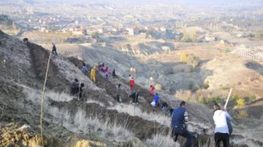 Mustafapaşa&rsquo;da 'Şehit Ve Gaziler Ormanı' Oluşturuluyor