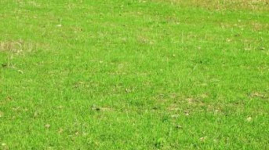 Yağmur Yağdı, Dane Kayıpları Ortaya &Ccedil;ıktı