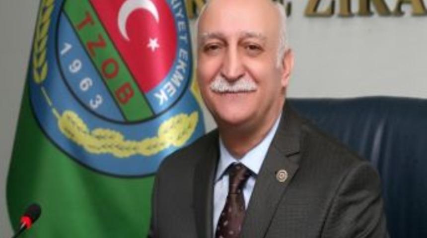 Tavuk Eti Ve Tavuk Yumurtası &Uuml;retimi Arttı