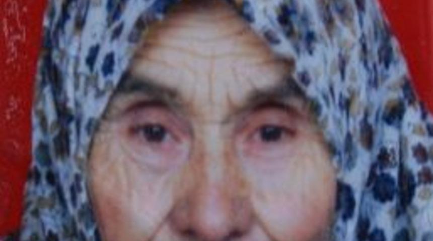 Mantar Toplamaya Giden Kadın Kayboldu