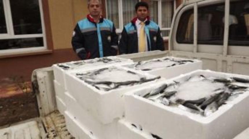 Balığın Boyunu &Ouml;l&ccedil;t&uuml;ler