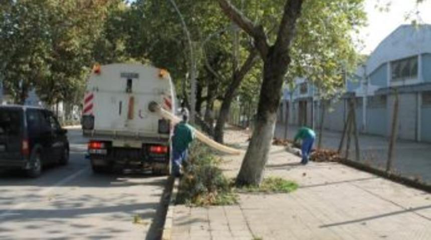 Belediyeye Vakumlu Yaprak Toplama Aracı