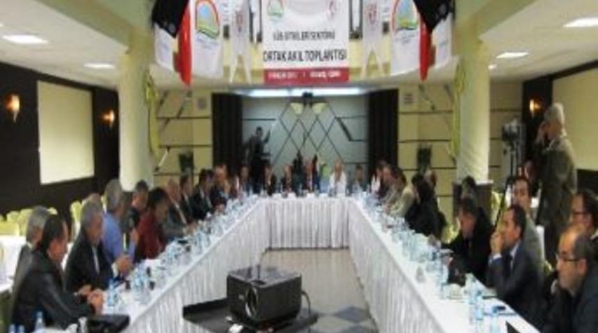 &Ouml;demiş'te, S&uuml;s Bitkileri Ortak Akıl Toplantısı Yapıldı