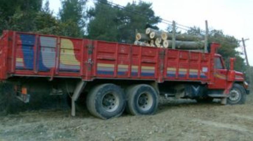 U&ccedil;uruma Yuvarlanan Iş Makinesinin S&uuml;r&uuml;c&uuml;s&uuml; &Ouml;ld&uuml;