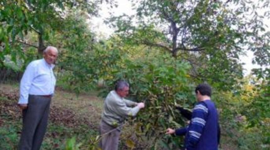 Bah&ccedil;elere Kış Bakımı