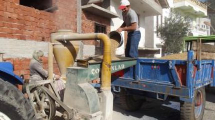 Saman Fiyatı Buğday Fiyatını Ge&ccedil;ti