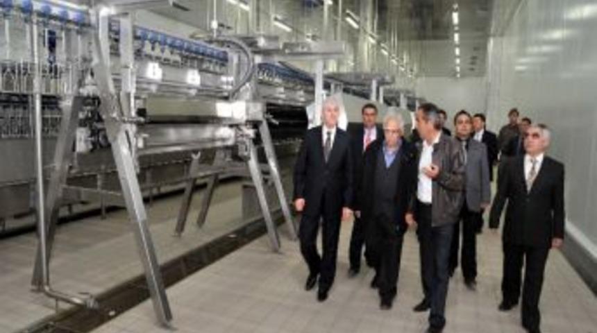 Vali Mehmet Ufuk Erden Eşme&rsquo;de Tavuk&ccedil;uluk Tesislerini Gezdi