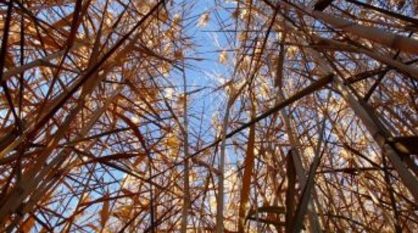 Bir Başka Olur Ekerek G&ouml;l&uuml;nde Sonbahar