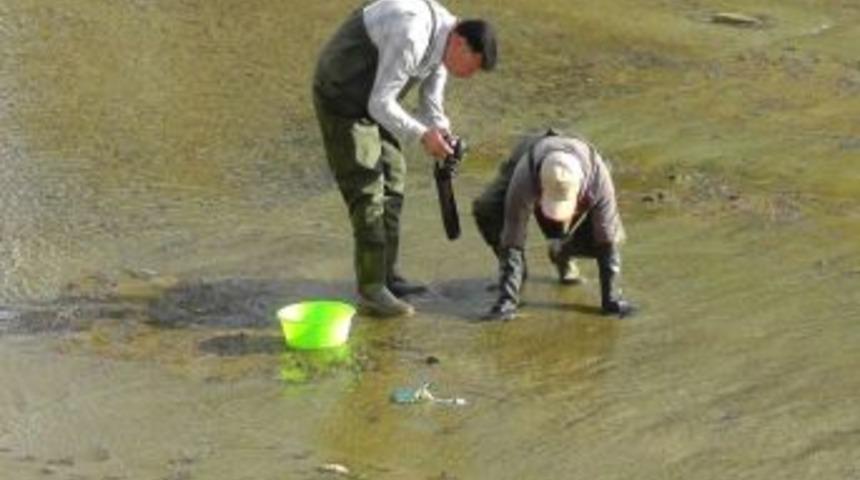 Beyşehir G&ouml;l&uuml; Havzası'nda &ldquo;simulium&rdquo; Salgını