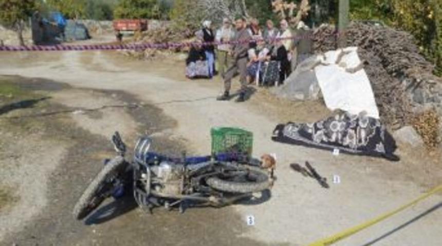 K&ouml;peklerden korktu kendini kalbinden vurdu