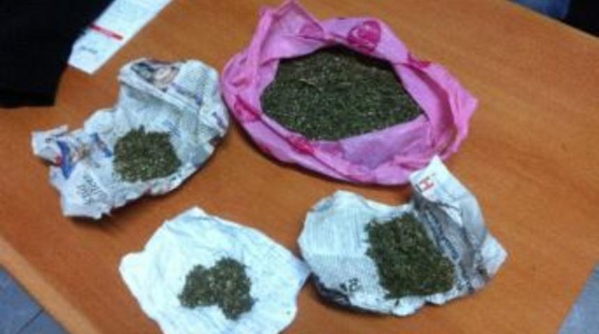 Filyos'ta Esrar Operasyonu