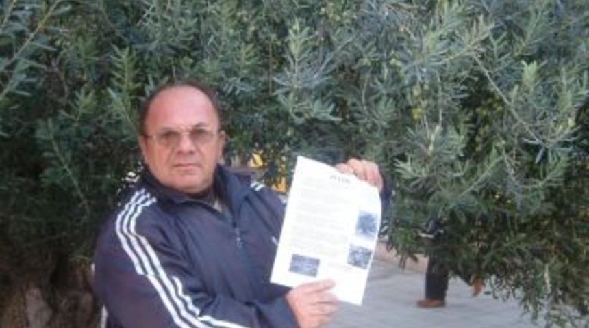 Burhaniyeli Simit&ccedil;i Zeytine Şiir Yazdı