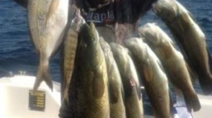 K&ouml;rfez Serbest Dalış&ccedil;ıların Yeni G&ouml;zdesi