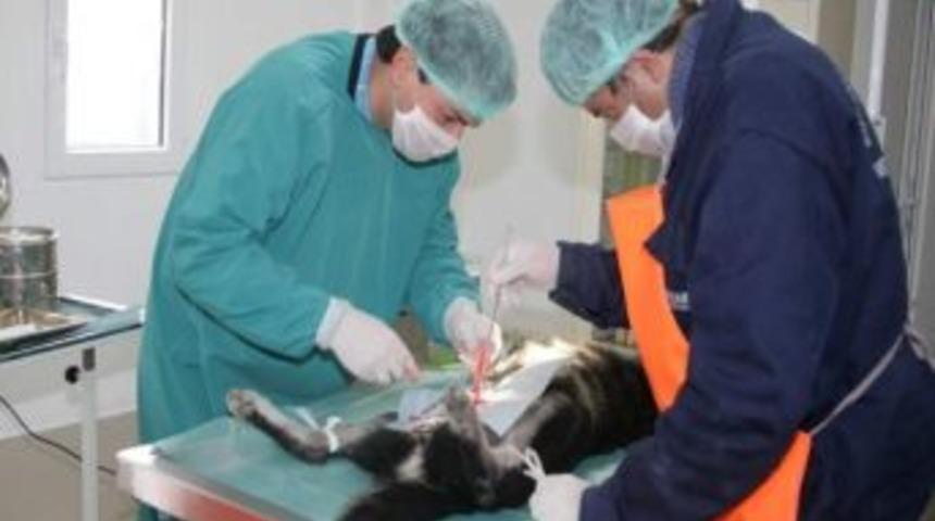 Onların Da Artık Bir Yuvası Var