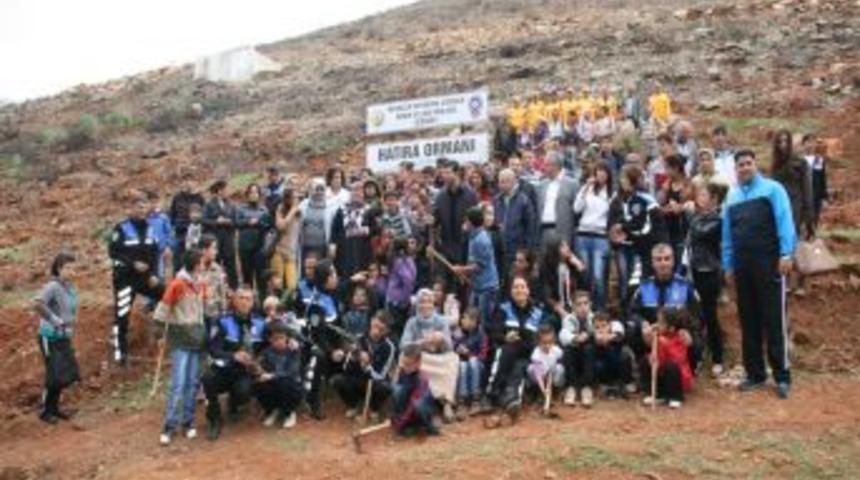 G&uuml;lnar'da Yanık Sahalar Ağa&ccedil;landırılıyor