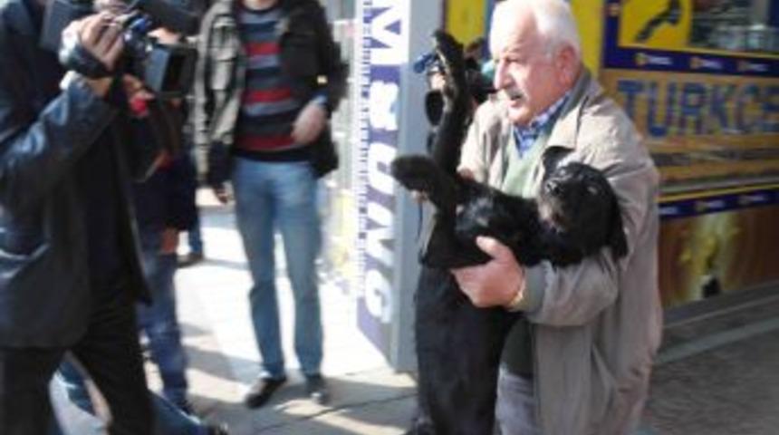 Tabancayla Vurulan Sokak K&ouml;peği Protez Takılmazsa Sakat Kalacak