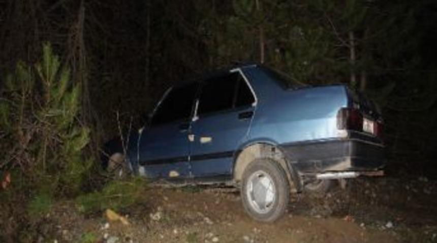 Otomobil Şarampole U&ccedil;tu