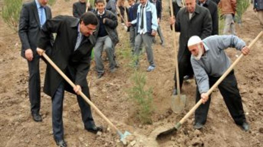 Başkanı Ak, &Ouml;ğrencilerle Birlikte Fidan Dikti