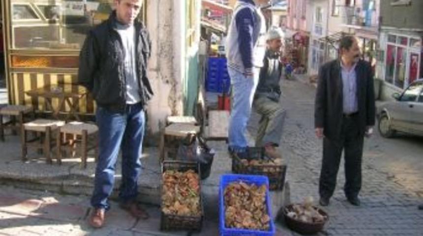 K&uuml;re&rsquo;de Mantar Bereketi Devam Ediyor