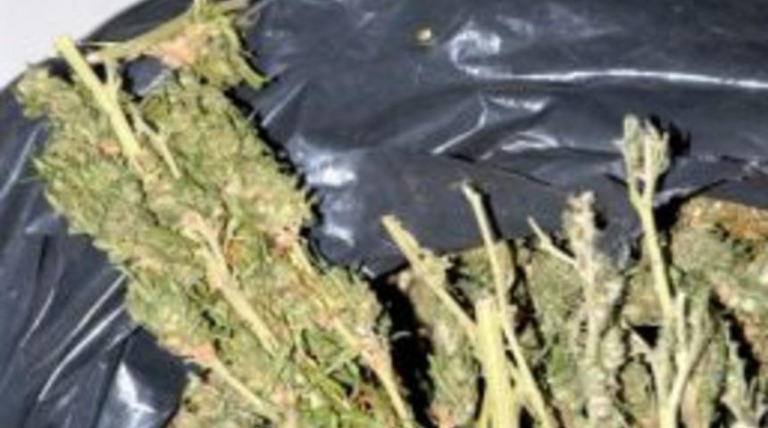 Siverek&rsquo;te 159 Kilo 50 Gram Esrar Maddesi Ele Ge&ccedil;irildi